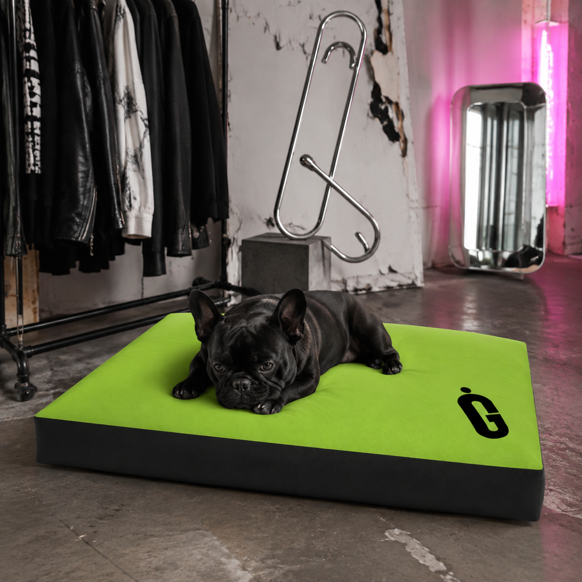 A black French bulldog lies on a bright lime green rectangular dog bed with a black base, placed in a stylish loft setting with a clothing rack, metal sculpture, and pink-lit mirror in the background.